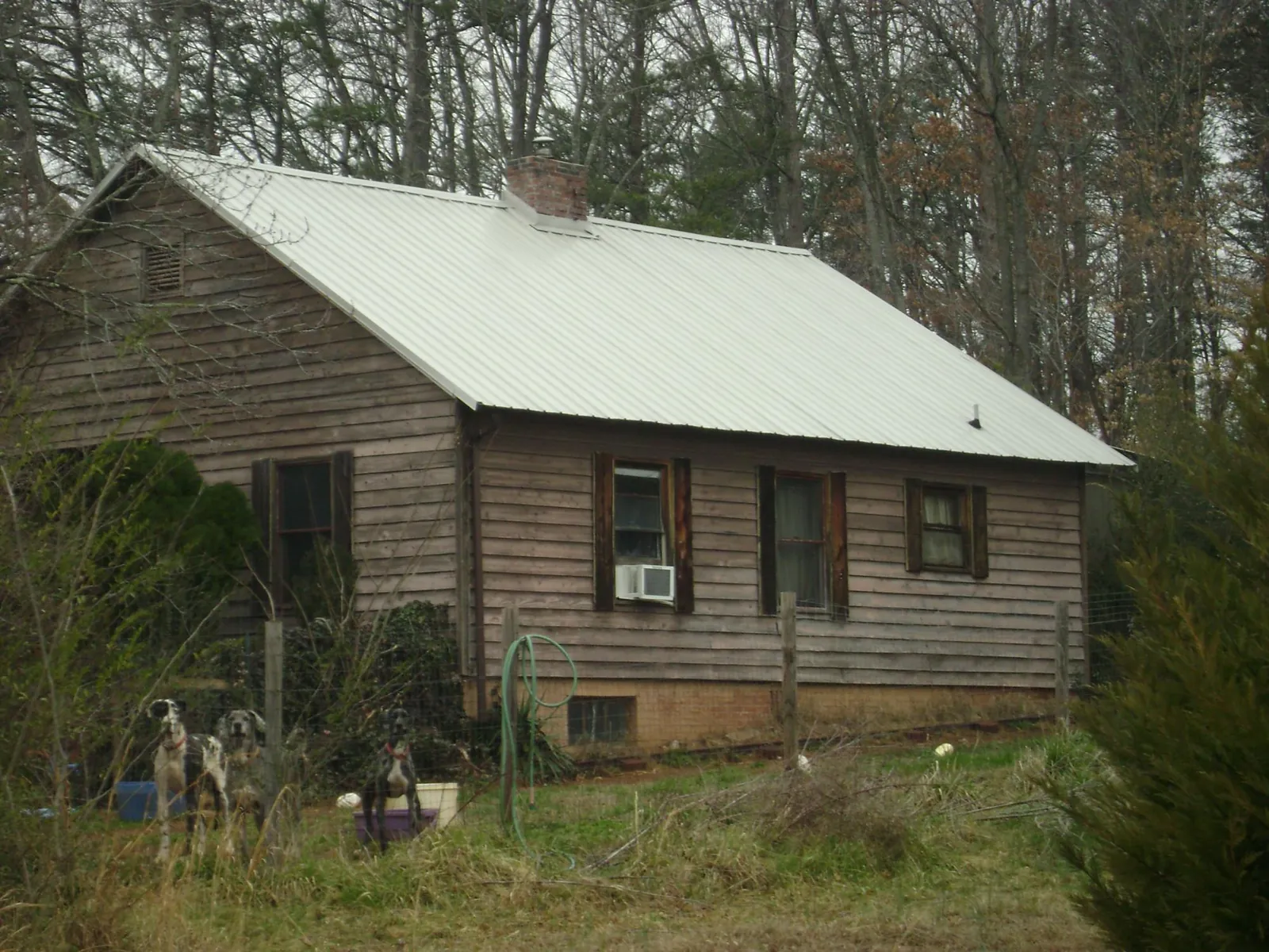 White metal roof on an old wood sided farmhouse, from a Asphalt Shingle Roof Repair job in Nunda